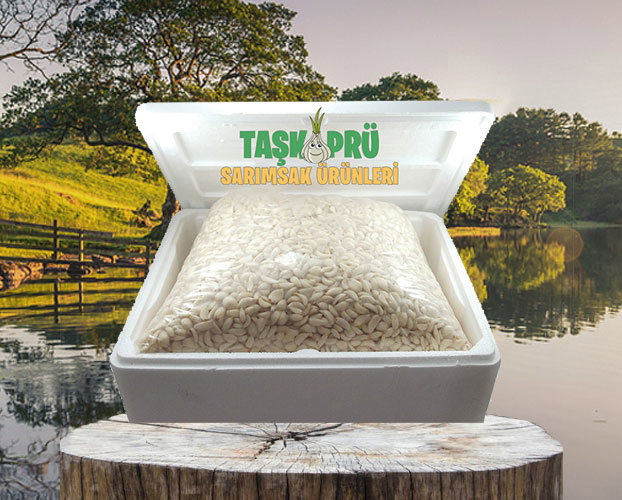 Soyulmuş Sarımsak 5 KG